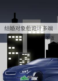 结婚对象他诡计多端无广告