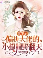 偏执大佬的小撩精野翻天 清梦醉红颜