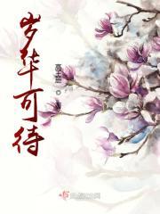 岁华可待的意思