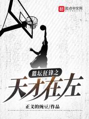 篮坛狂锋之天才在左无瑕疵