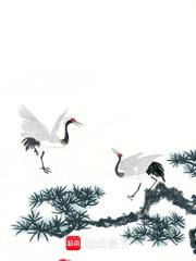 恒景和重阳节