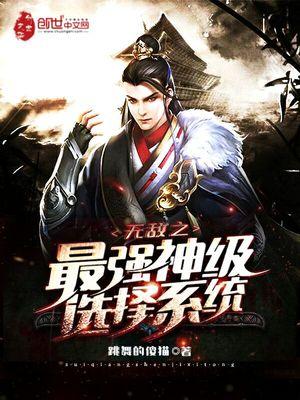 无敌之最强神级选择系统境界介绍