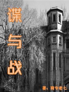 谍与战gl