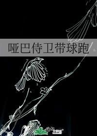 哑巴侍卫带球跑晋江