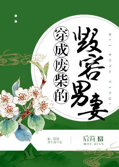 穿成废柴的毁容男妻格格党