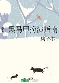 红马甲海报