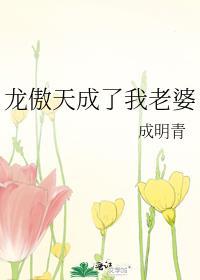 龙傲天成了我老婆 番外