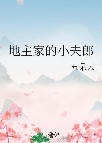 地主家的小夫郎完结