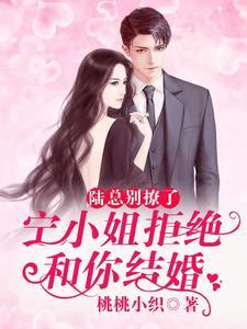 陆总许小姐是什么