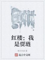 红楼我是贾琏最新
