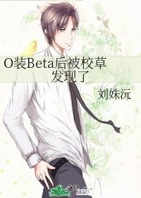 装o之后我被beta拱了txt