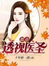 都市透视医圣叶凡作者蝎子