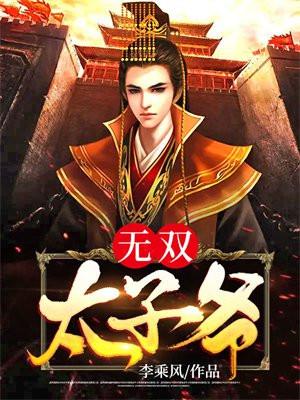无双太子爷完整版