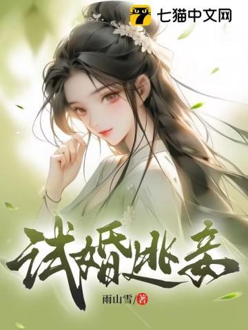 试婚逃妾晋江
