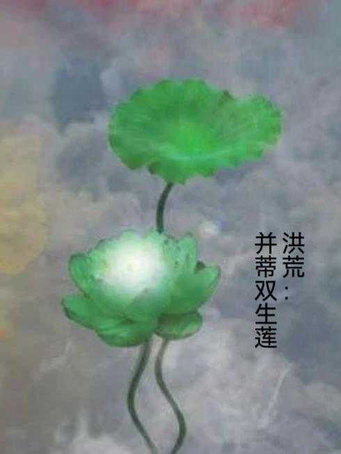 洪荒并蒂双生莲动画