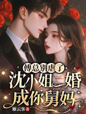 沈家二小姐傅