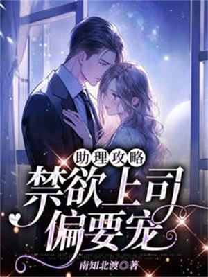 助理撩上boss攻沈暮