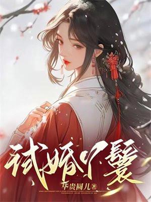 试婚丫鬟免费阅读