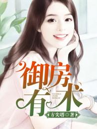 御房有术 铁锁