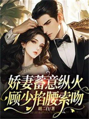 顾少暖婚小娇妻