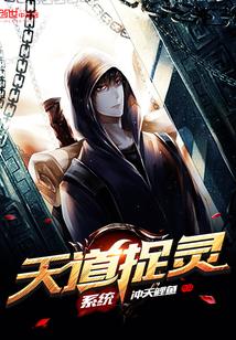 天道捡系统