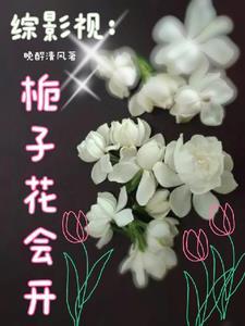 综影视含小花