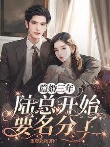 隐婚试爱陆总宠妻如命免费阅读