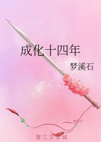 成化十四年剧