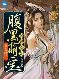 丑女医妃是什么