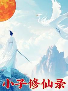 卑微小子修仙传