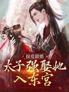 掠爱甜婚太子强娶她入东宫免费阅读江小十