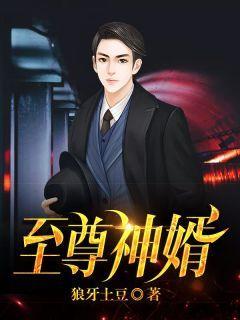 至尊神婿全文TXT百度