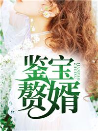 鉴宝天婿