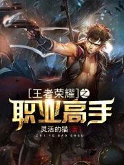 穿越王者荣耀之职业选手