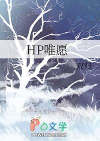 哈利波特  同人
