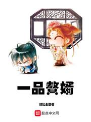 一品赘婿全集观看