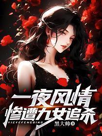 一夜风情惨遭九女追杀TXT全文