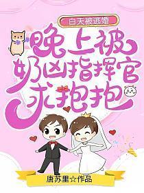 白天被逃婚晚上被奶凶指挥官求抱抱漫画免费阅读六漫画