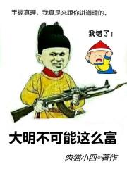 大明不可能这么富有