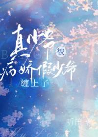 假少爷连夜跑了txt