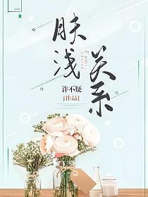 肤浅关系完整阅读