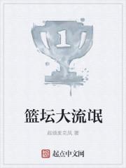 篮坛流氓系统