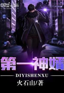 第一神婿 书生奋发