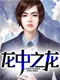 龙中之龙凤中之风是什l么意思