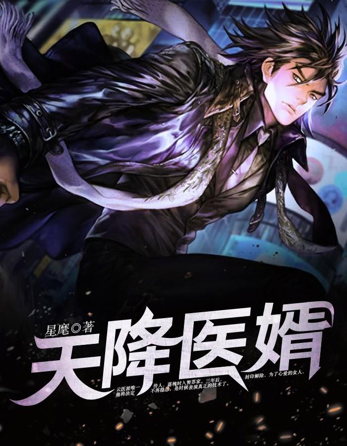 天降神婿免费全文