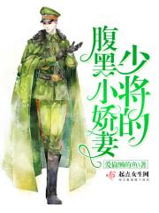 少将的甜妻