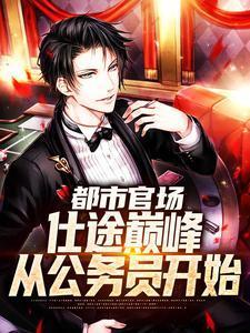 都市官场仕途巅峰从公务员开始的