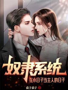 奴隶系统在小日子当主人的日子 疯子疯子