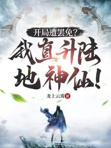 开局我开了一架直升机