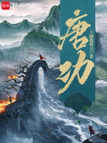 隋唐上将军起点